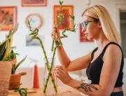 5 стайни цветя, които ще донесат късмет и щастие в дома ви през 2023 година