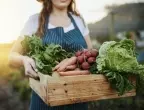 ТОП 10 най-лесни зеленчуци за отглеждане в домашната градина