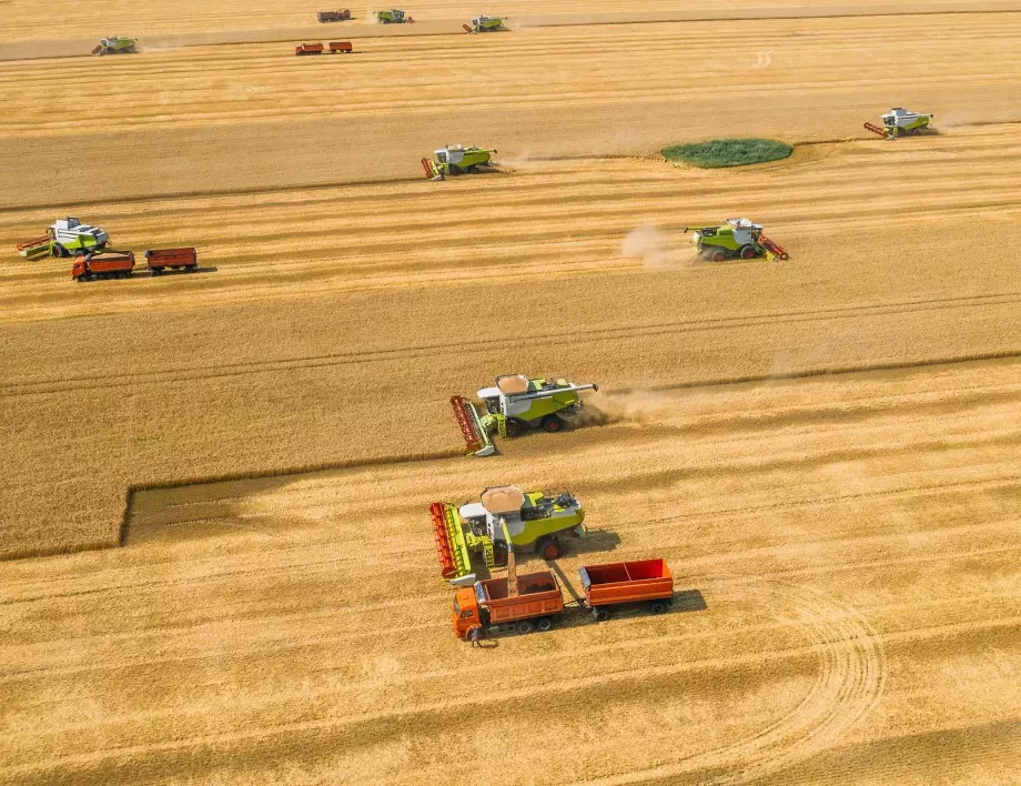 Кулеба: Украйна и Русия са на две крачки от споразумение за зърното