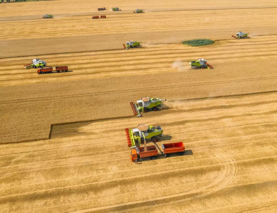 Евтино жито от Украйна подбива пазара на зърно у нас