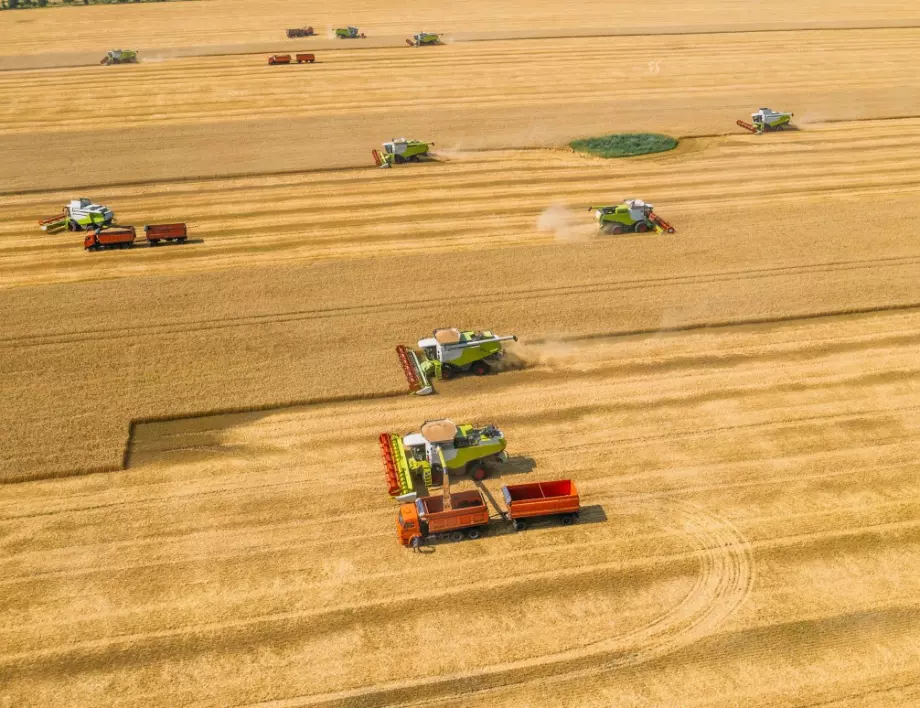 Латвия реши: Спира да внася зърно от Русия и Беларус