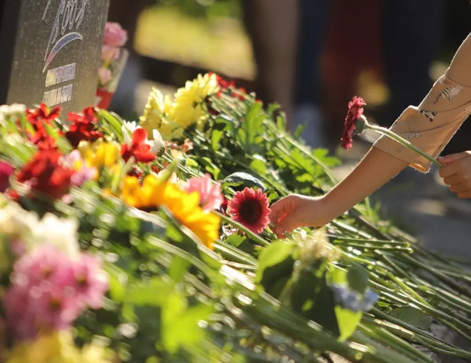 Вандали изкорениха цветя в памет на двете убити момичета в София (СНИМКИ)