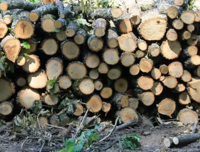 Пада цената на дървата за огрев от държавата