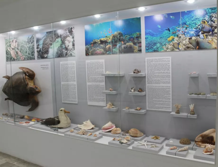 Природонаучният музей предлага на бургазлии и гостите на града безплатна беседа