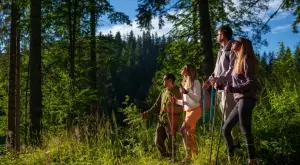 Климатолечение, горска терапия и активности на открито през летния сезон в Пампорово и хотелски комплекс Перелик 5*