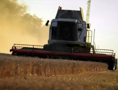 Не знаем, но не искаме: Оплакванията на зърнопроизводителите за украинското зърно