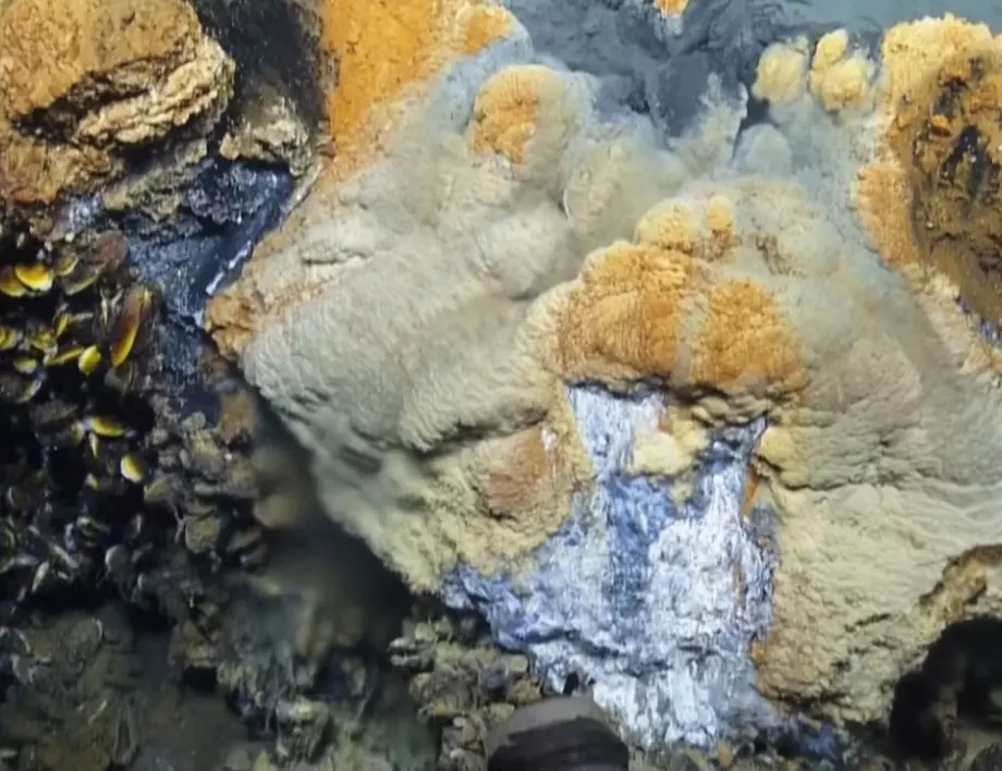 Джакузи на отчаянието. Учени откриха подводно езеро, което убива почти всичко живо (ВИДЕО)