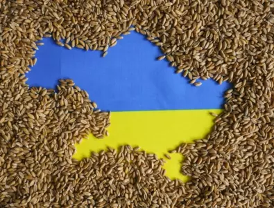 Украинското зърно го ядат прасетата, вместо при най-бедните хора по света: немскоезични медии