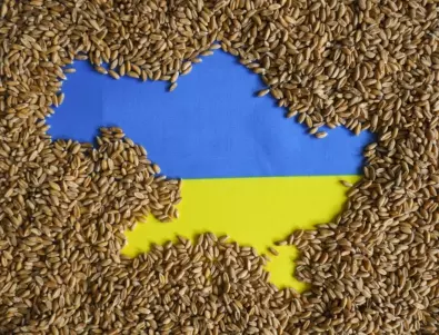 БАБХ разкри какво показват лабораторните изпитвания на украинското зърно