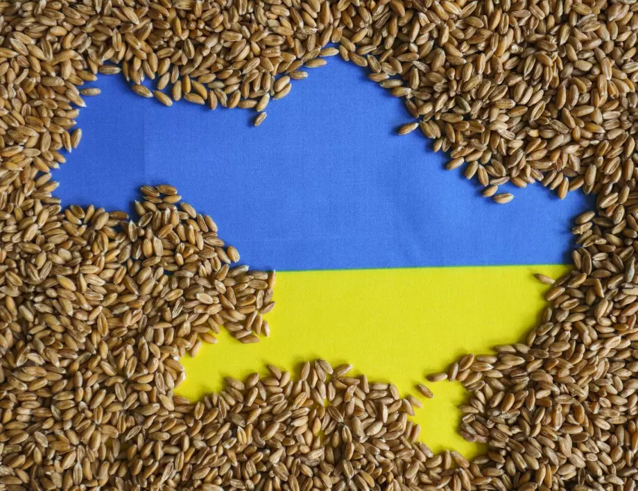 ЕС: Украйна ще изнася по "пътища на солидарността" след пропадането на зърнената сделка