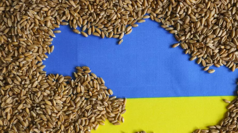 БАБХ затяга контрола: Ето как ще проверяват храните от Украйна при вноса