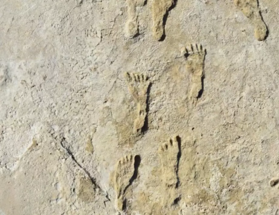 Появяват се и изчезват. 12 000-годишни "призрачни" отпечатъци са открити в САЩ