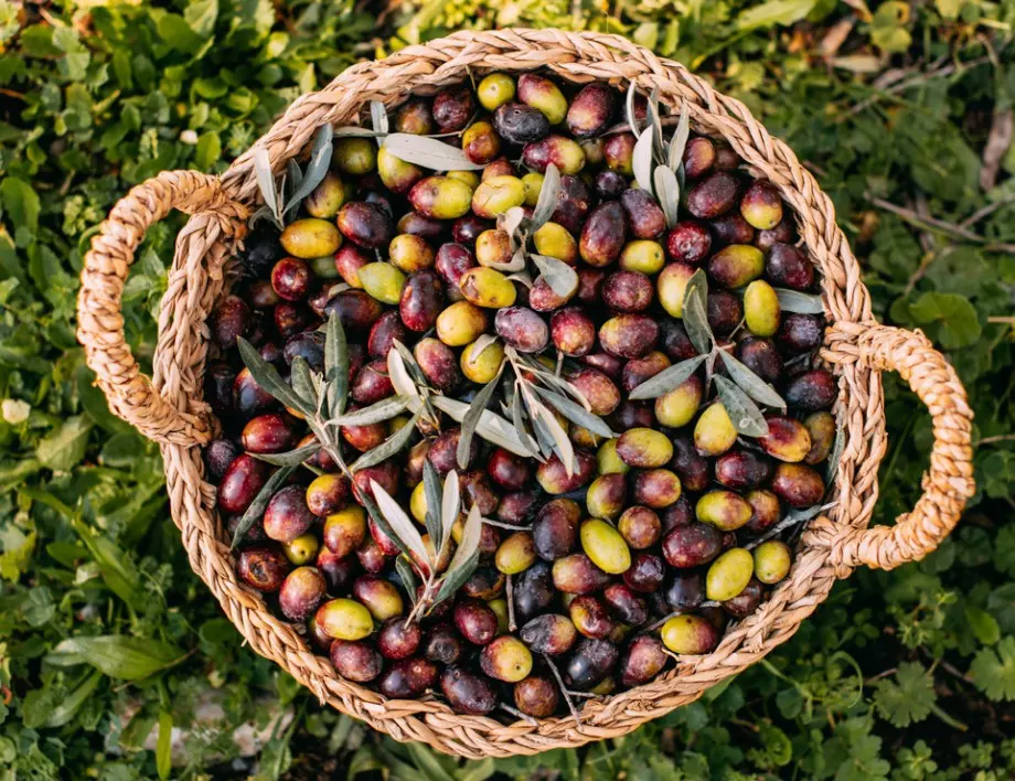 6 причини да ядете маслини ВСЕКИ ден! 