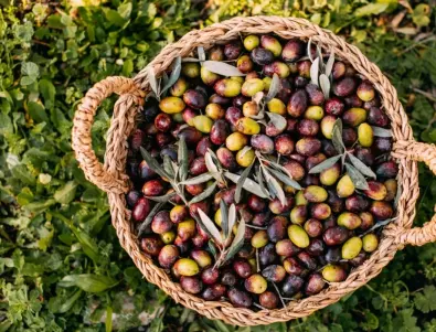 По какво да разпознаем хубавите маслини в магазина