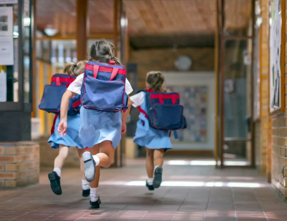 МОН с нова програма за безопасност на движението в училища и детски градини