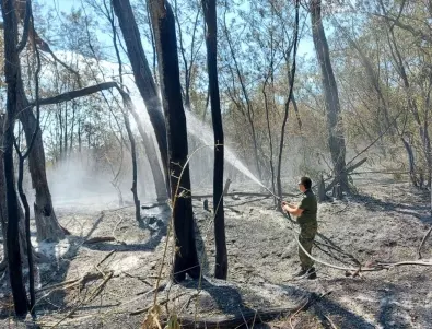 Военни се включиха в гасенето на пожара край варненското село Здравец