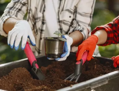 Домашен ускорител за компост: Как да направите свой собствен