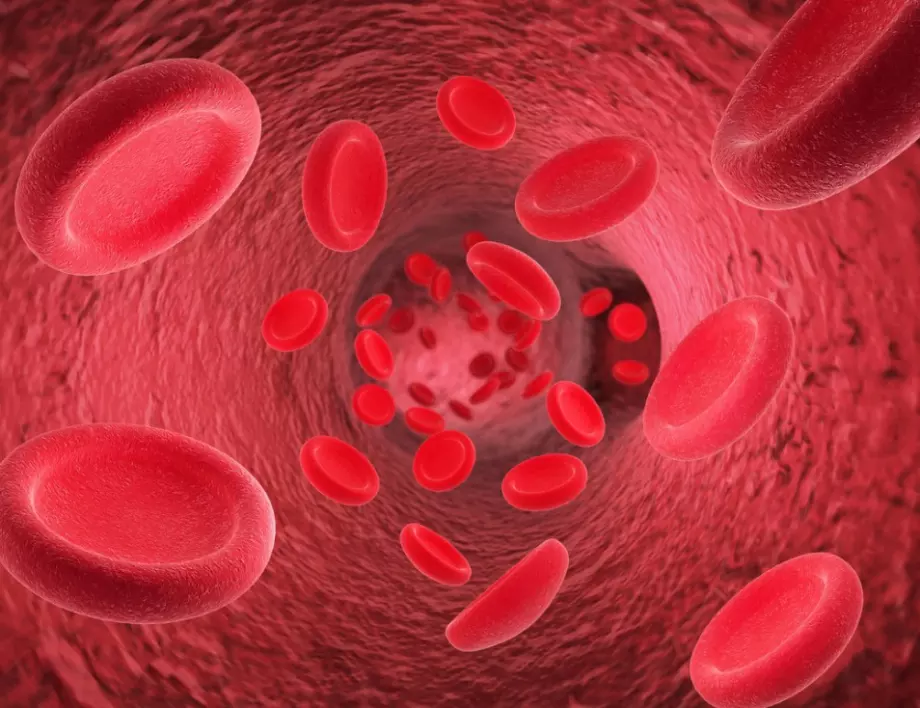 Учени казаха коя е новата норма за хемоглобин