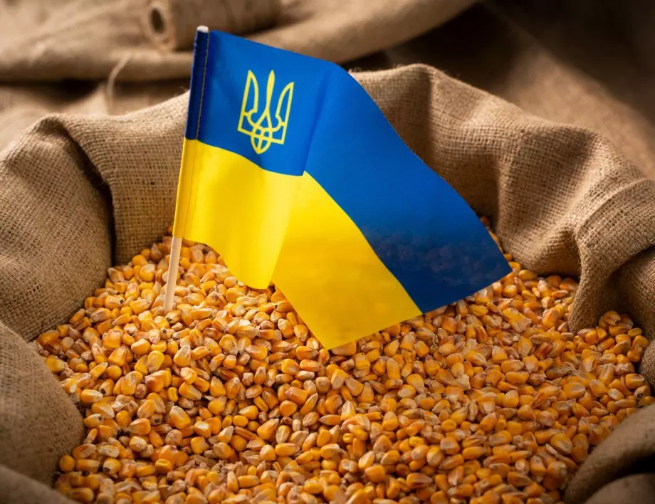 Франция: Работим по изнасяне на украинското зърно по суша през Румъния и Полша 