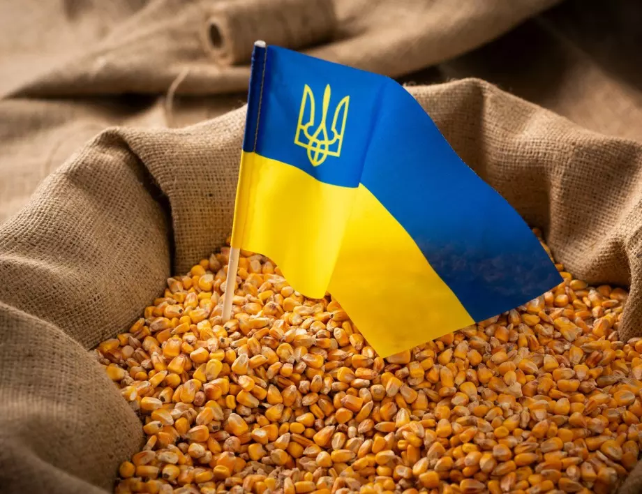 Москва постави условия за продължаване срока на зърнената сделка 