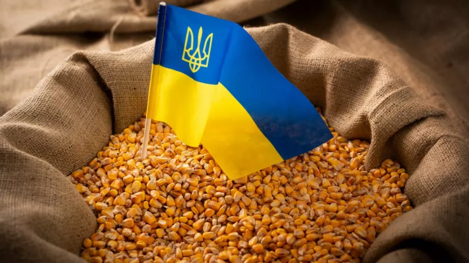 Украински министър: Цената на зърното в Европа стана по-конкурентна