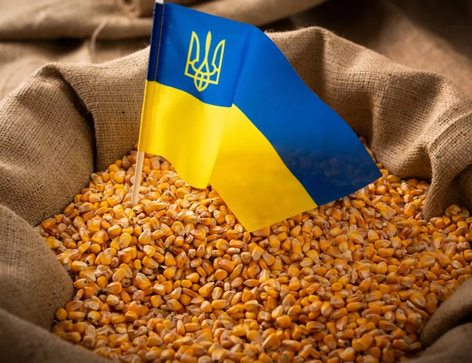 Ако не бъдат отменени санкциите, няма да има удължаване на зърнената сделка, предупреди Русия