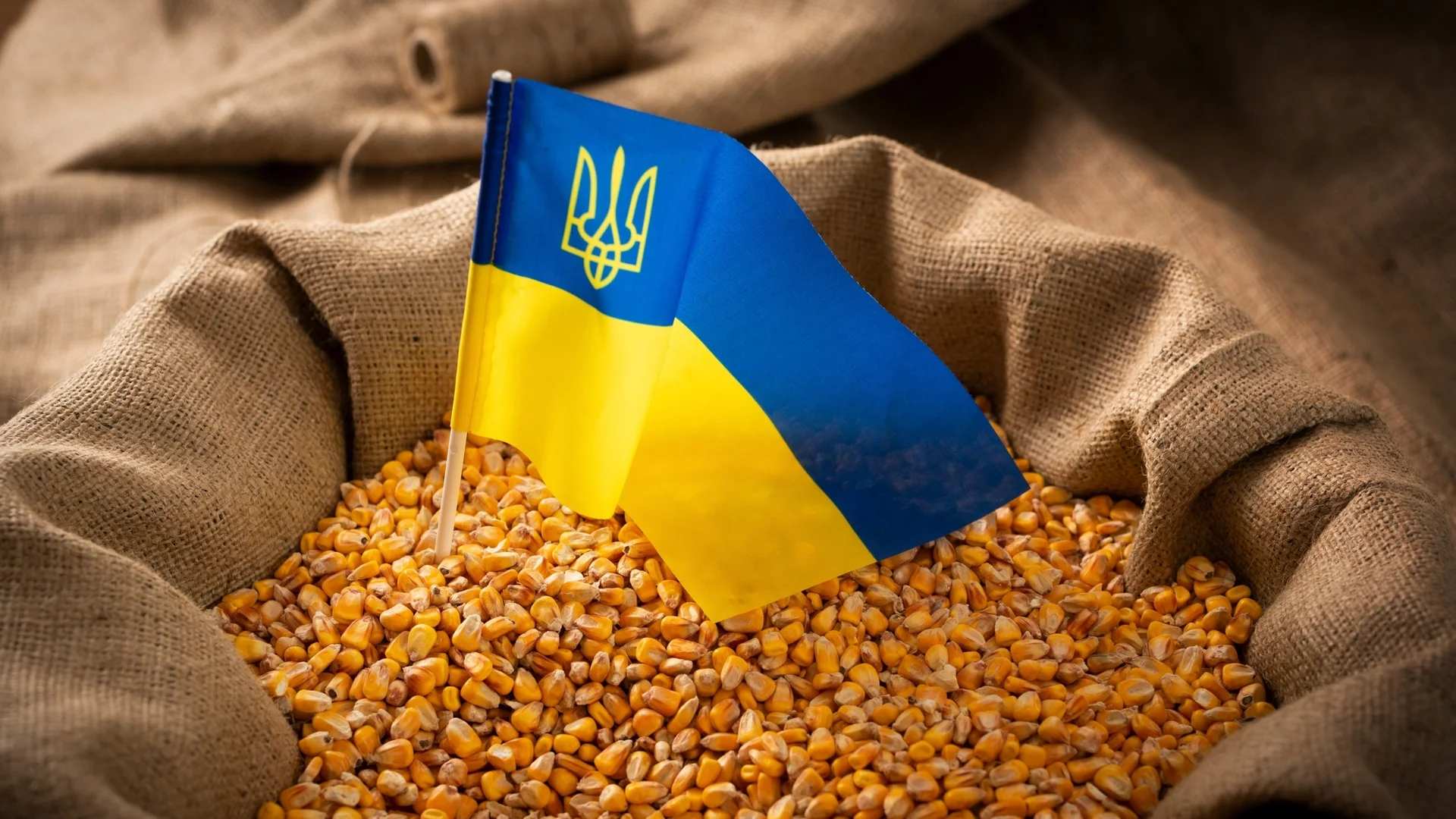 Страните от ЕС се разбраха за вноса на селскостопански продукти от Украйна
