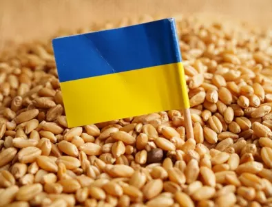 Украйна обвини Русия, че блокира пълното прилагане на зърнената сделка