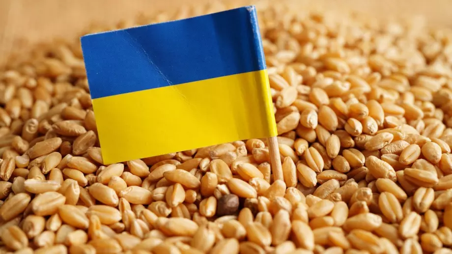 Австрия отпуска 3,8 млн. евро за доставки на украинско зърно за бедните държави