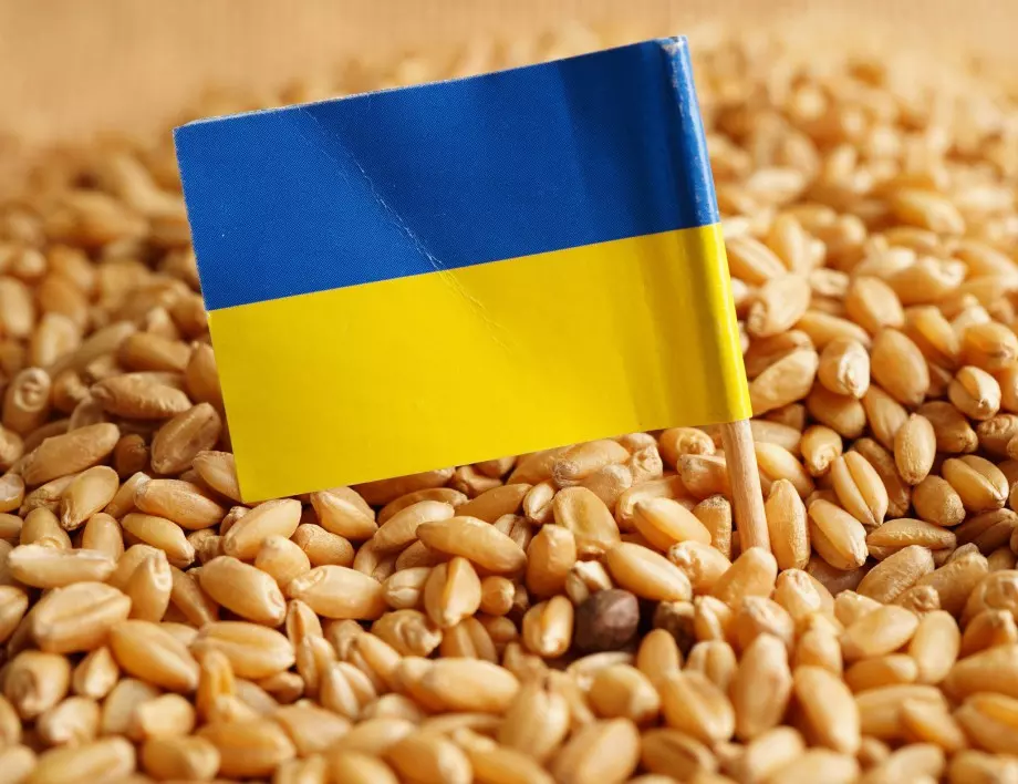 Износът на пшеница от Украйна е намалял с 45% до 9 милиона тона към януари 