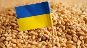 Русия се съгласи на удължаване на зърнената сделка само с 60 дни