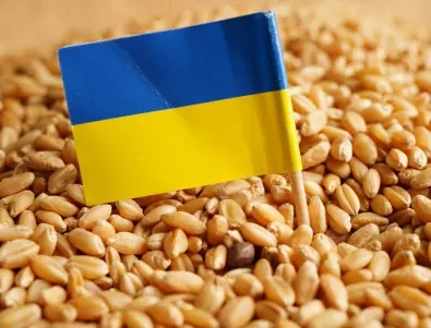 Близо 642 хиляди тона украинско зърно са внесени от Украйна в България