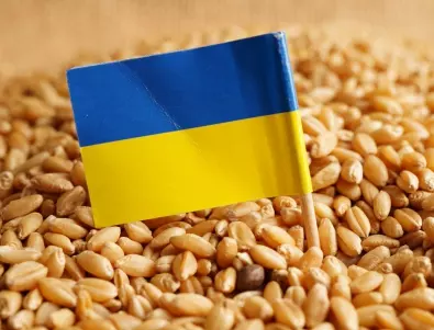 И Унгария временно забрани вноса на украинското зърно