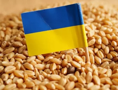 Националният съюз на земеделските кооперации подкрепя решението за временна забрана на внос на зърно от Украйна