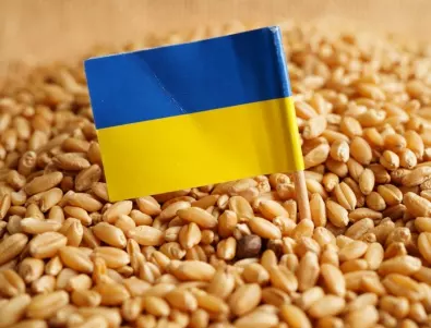 Земеделските министри на ЕС обсъждат проблемите около украинското зърно