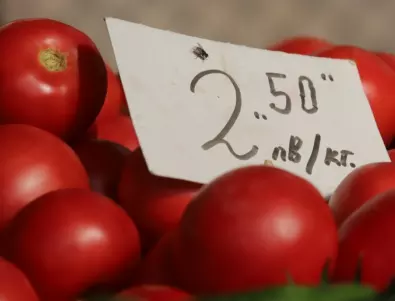 По тези 3 белега се познава българският домат