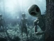 "Те все още са тук": Станфордски професор заяви, че извънземни са посещавали Земята