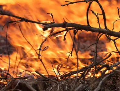 Пожар обхавана близо 3 хиляди декара гори в Свиленградско
