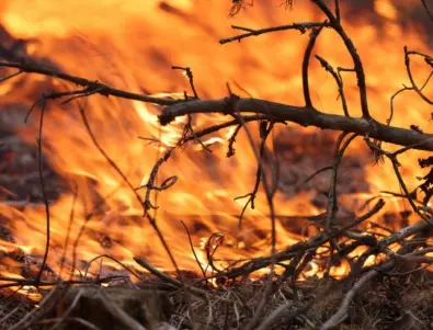 Пожар изпепели 15 декара гора в Неделино