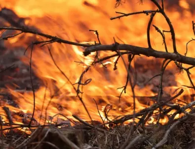 Пламъци превзеха и остров Корфу, евакуират жители и туристи (ВИДЕА)