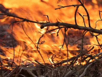 Огнената стихия в Хасковско продължава: Обявиха бедствено положение 