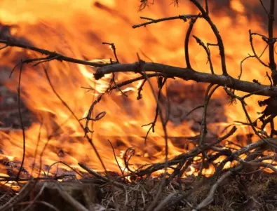 Расте броят на жертвите на пожара на Хаваите (ВИДЕО)