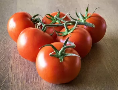Как да създадете и отгледате вкусни и сочни домати ?