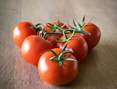 Най-опасните болести по доматите