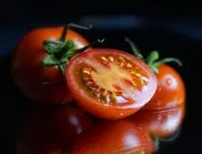Семена от домати - как е правилно да се събират