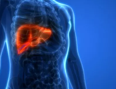 Учени: Едва ли предполагате, че този симптом издава омазнен черен дроб