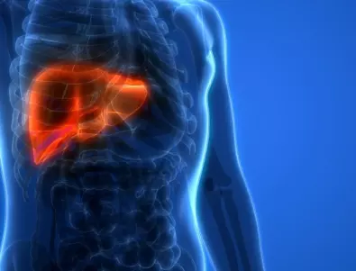 6 симптома на омазнен черен дроб, които често се бъркат с други заболявания