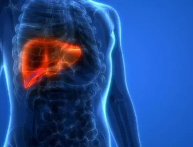 Лекар: Тези 8 симптома издават омазнен черен дроб