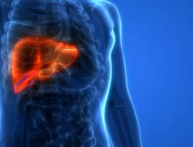Учени: Болката в 4 части на тялото издава проблем с черния дроб
