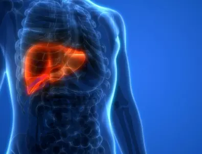 Здрав черен дроб - подправката, която всеки столетник яде